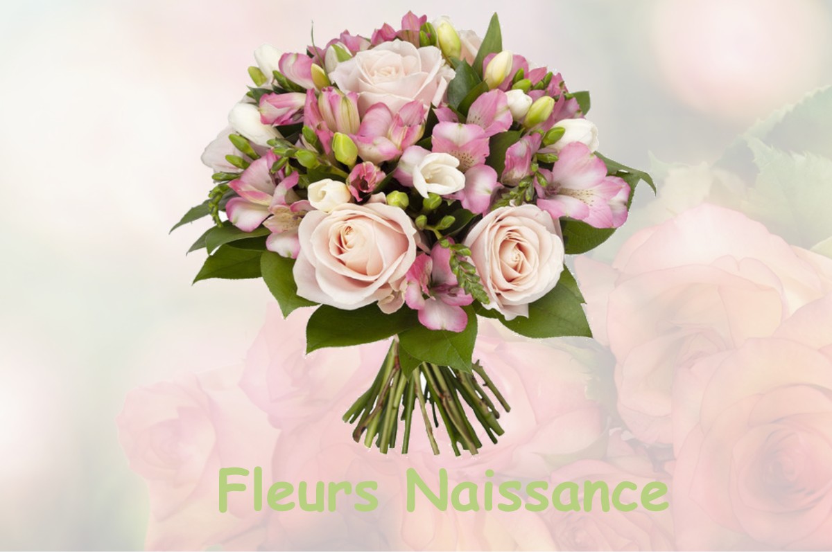 fleurs naissance DAMVILLERS