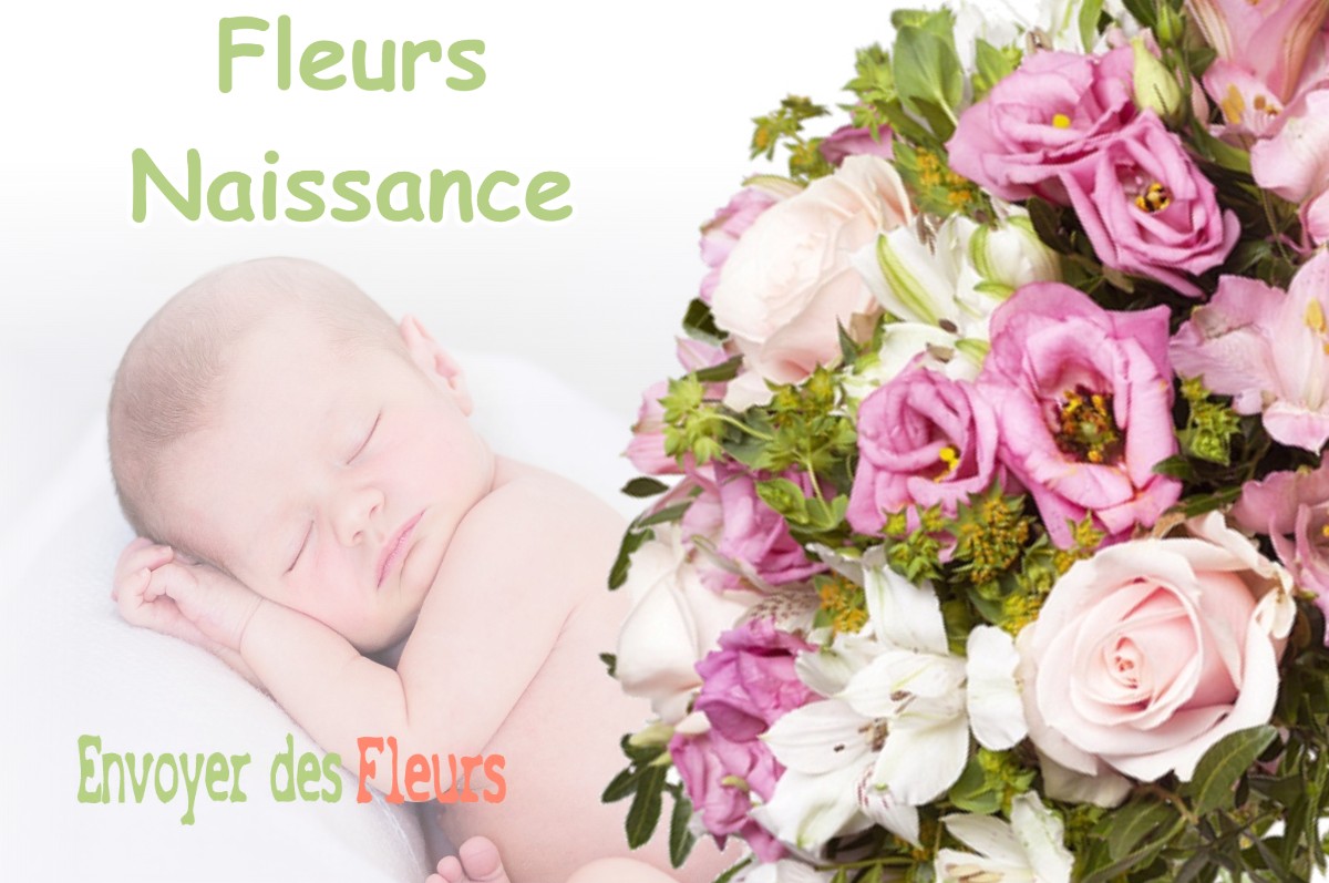 lIVRAISON FLEURS NAISSANCE à DAMVILLERS